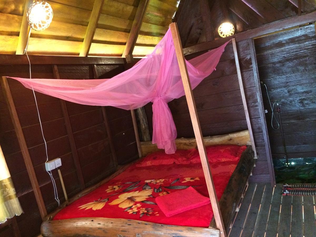 Tree Lodge Sen Monorom Room photo